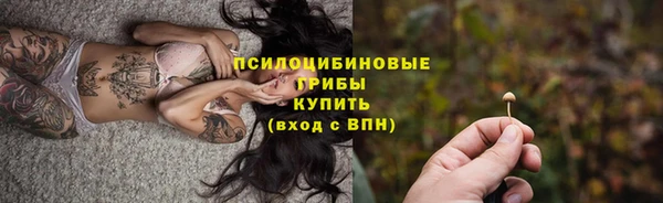 хмурый Вяземский