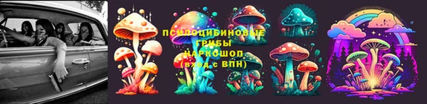 ECSTASY Вязьма
