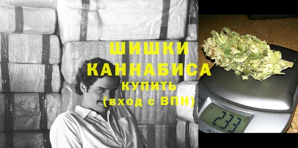 хмурый Вяземский