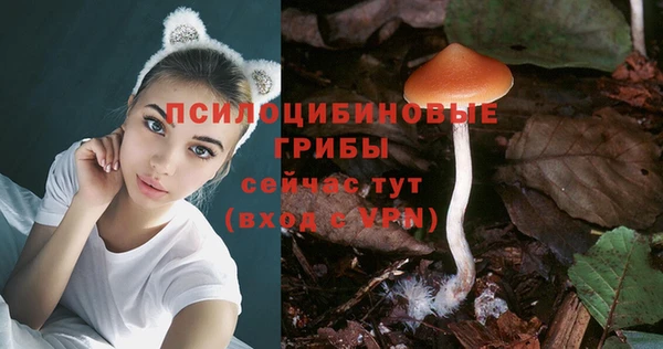 ECSTASY Вязьма