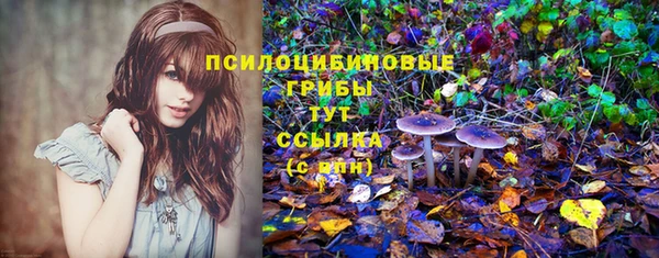 гидропоника Володарск